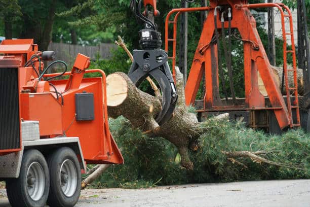 Grapple Truck Services